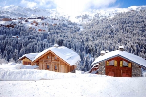 LA-PETITE-ROSIERE-light